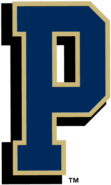 Pittsburgh Panthers 1997-Pres Alternate Logo diy iron on heat transfer